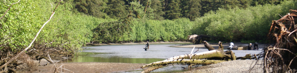 Situk River Yakutat Alaska Lachsangeln